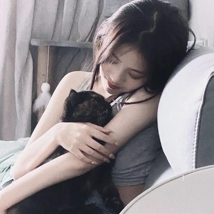小乌龟福兰克林